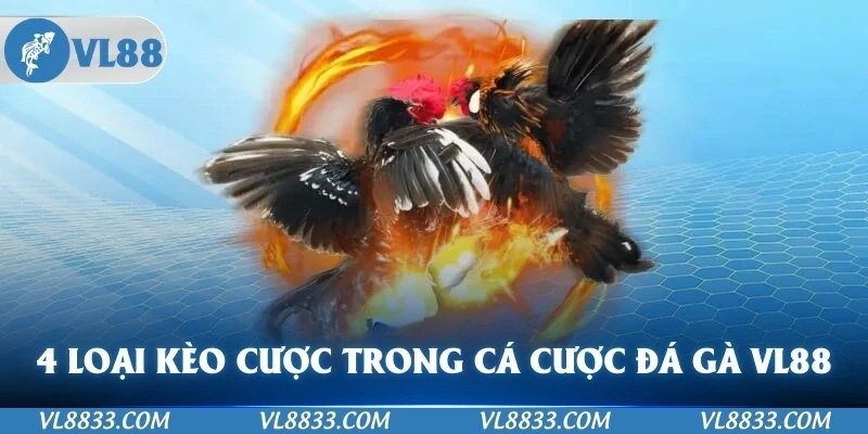 4 loại cược trong môn cá cược đá gà VL88 